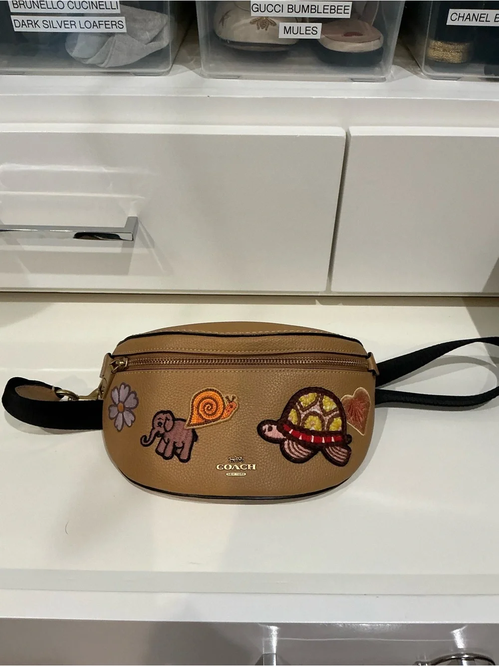 Coach compact belt